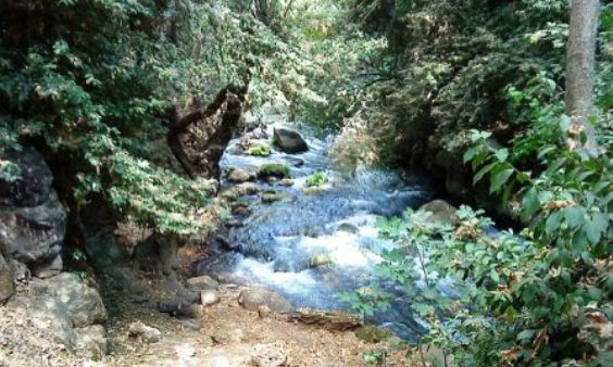 заповедник Баниас