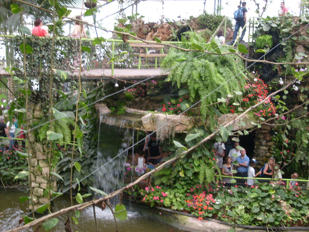 Отдых в Парке Орхидей Утопия