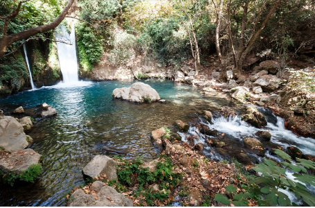Тематическая экскурсия - ЗАГАДКИ ПАНА. ГОЛАНСКИЕ ВЫСОТЫ - 1/08